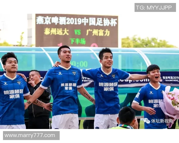 南京羽毛球队在邀请赛中的团队协作表现分析与点评