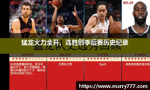 乐发Vll官网