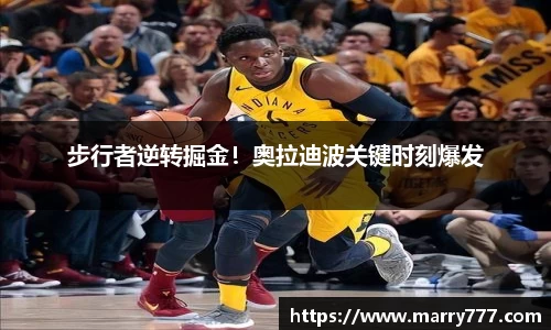 乐发Vll官方平台