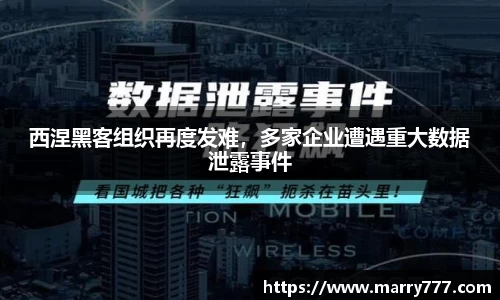 乐发Vll官方平台
