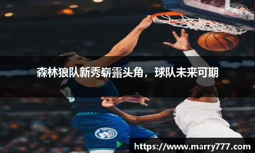乐发Vll官网