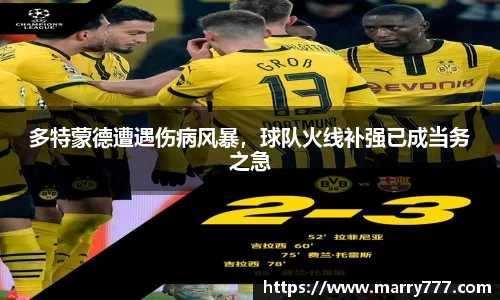 乐发Vll官方平台