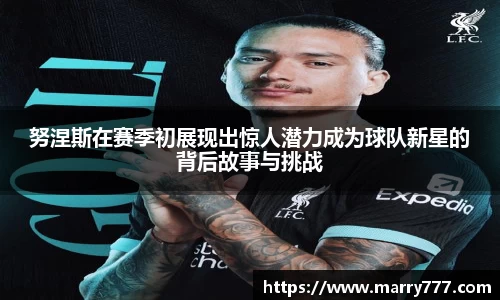 乐发Vll官网