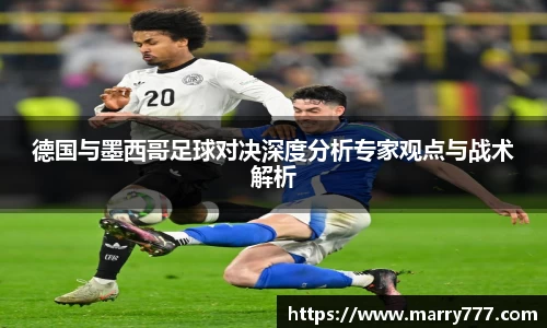 乐发Vll官方平台