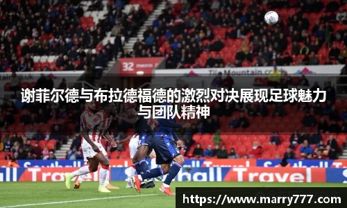 乐发Vll官方网站