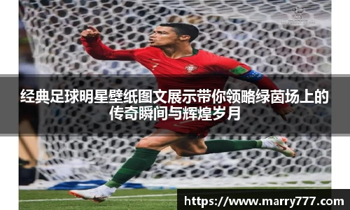 乐发Vll官方网站